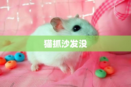 貓抓沙發沒