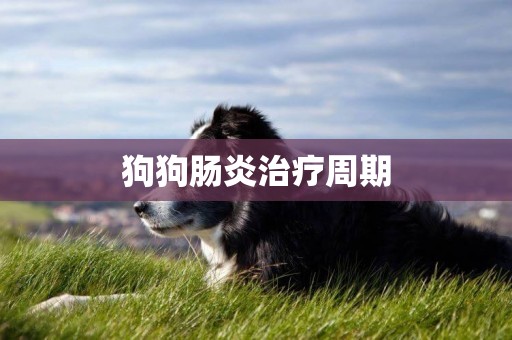 狗狗腸炎治療周期
