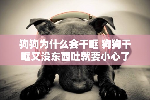 狗狗為什么會干嘔 狗狗干嘔又沒東西吐就要小心了