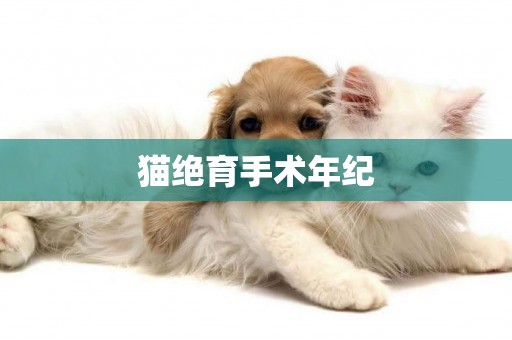 貓絕育手術年紀