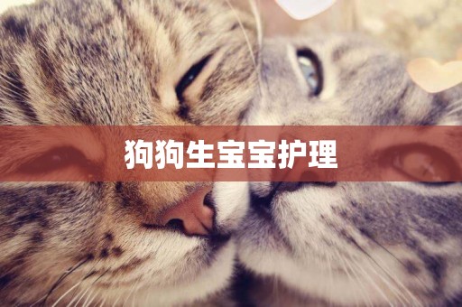 狗狗生寶寶護理