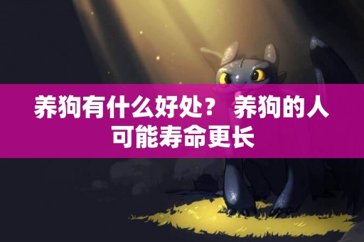 養狗有什么好處？ 養狗的人可能壽命更長