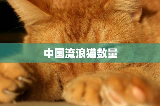 中國流浪貓數量