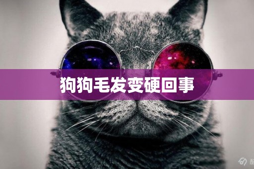 狗狗毛發變硬回事