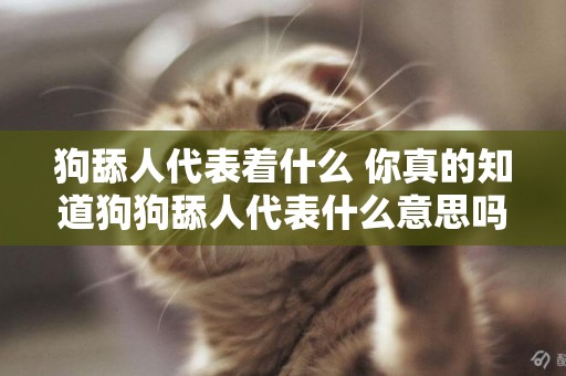 狗舔人代表著什么 你真的知道狗狗舔人代表什么意思嗎