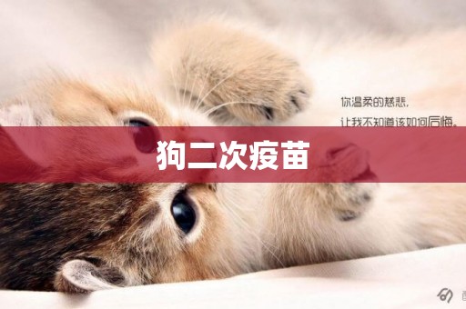 狗二次疫苗