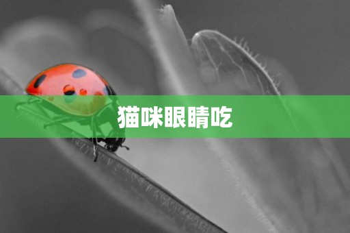 貓咪眼睛吃