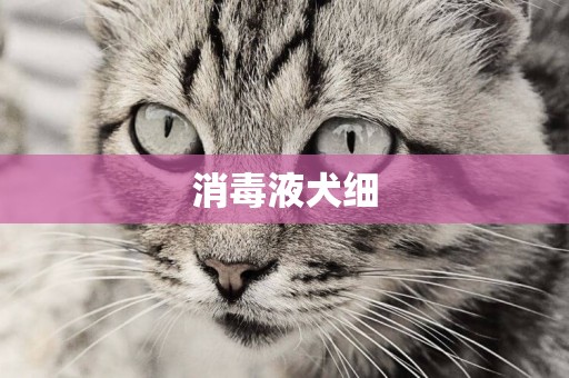 消毒液犬細