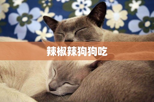 辣椒辣狗狗吃