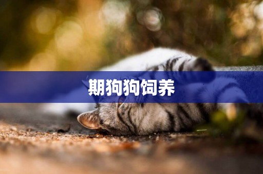 期狗狗飼養
