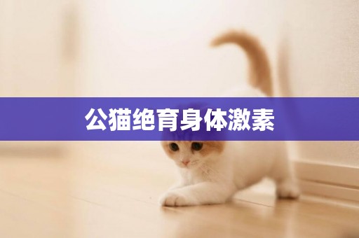 公貓絕育身體激素