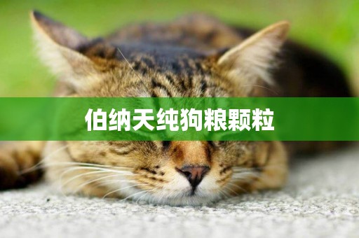 伯納天純狗糧顆粒