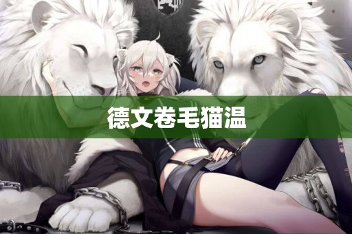 德文卷毛貓溫