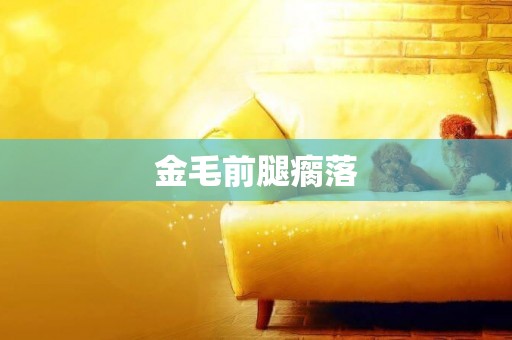 金毛前腿瘸落