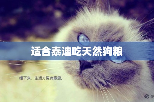 適合泰迪吃天然狗糧