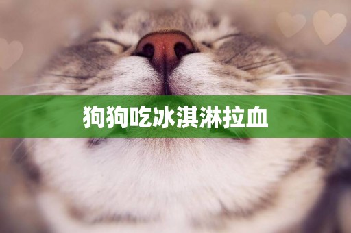 狗狗吃冰淇淋拉血