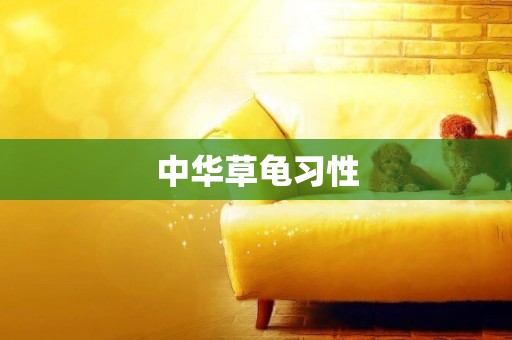 中華草龜習性