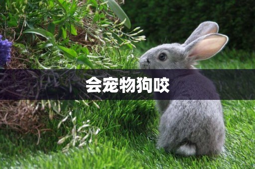 會寵物狗咬
