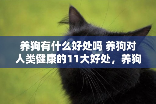 養狗有什么好處嗎 養狗對人類健康的11大好處，養狗的有福