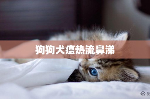 狗狗犬瘟熱流鼻涕