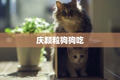 慶顆粒狗狗吃