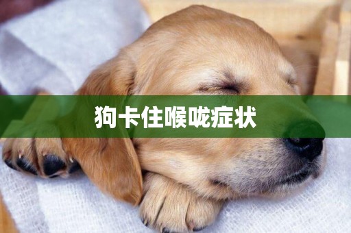 狗卡住喉嚨癥狀
