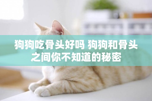 狗狗吃骨頭好嗎 狗狗和骨頭之間你不知道的秘密