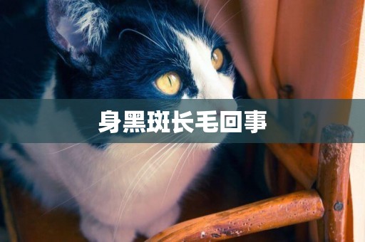 身黑斑長毛回事