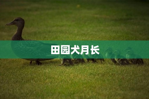 田園犬月長