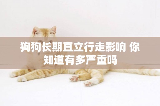 狗狗長期直立行走影響 你知道有多嚴重嗎