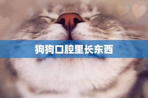 狗狗口腔里長東西