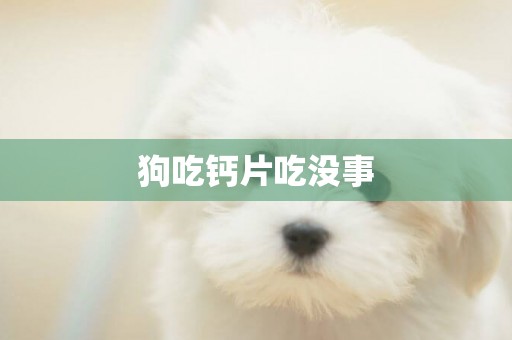 狗吃鈣片吃沒事