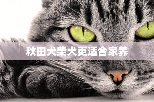 秋田犬柴犬更適合家養