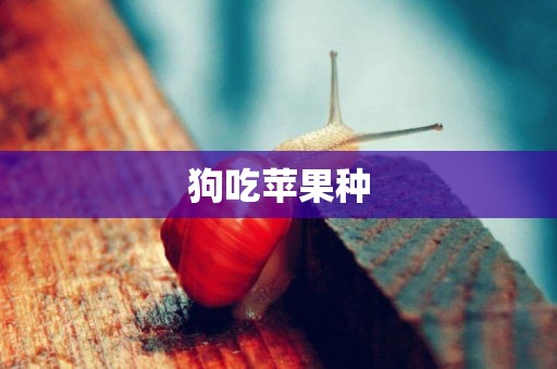 狗吃蘋果種