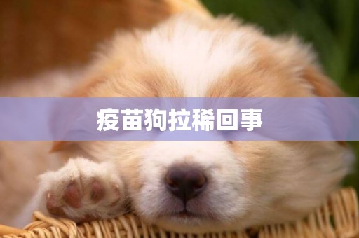 疫苗狗拉稀回事