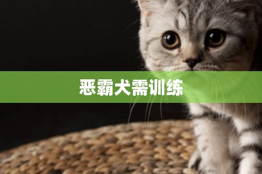惡霸犬需訓練