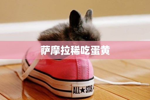 薩摩拉稀吃蛋黃