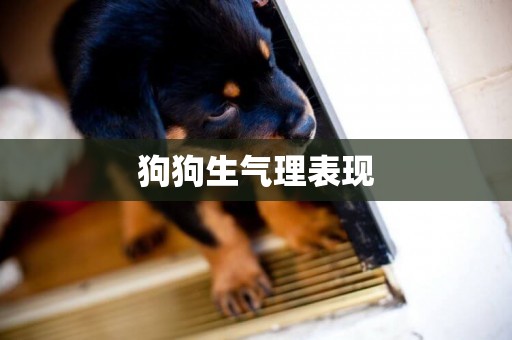 狗狗生氣理表現