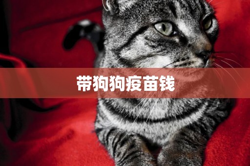 帶狗狗疫苗錢