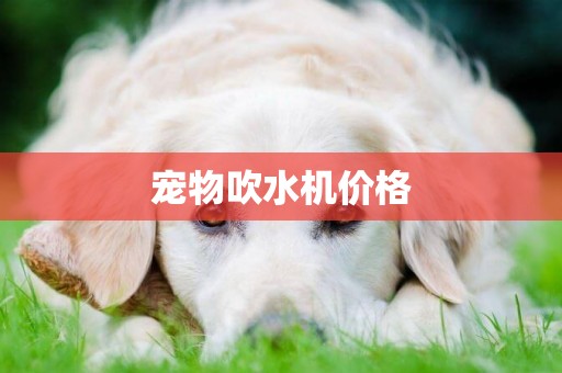 寵物吹水機價格