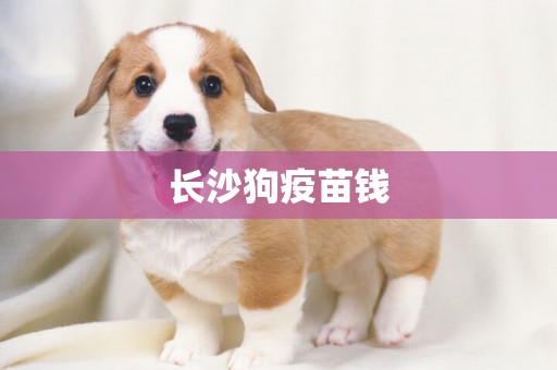 長沙狗疫苗錢