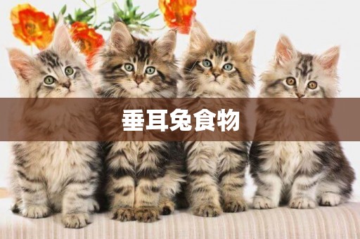垂耳兔食物