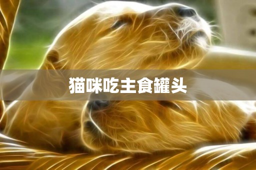 貓咪吃主食罐頭