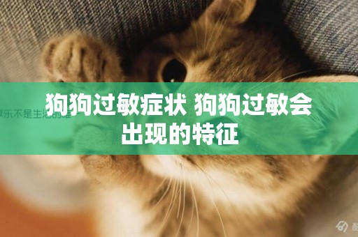 狗狗過敏癥狀 狗狗過敏會出現的特征