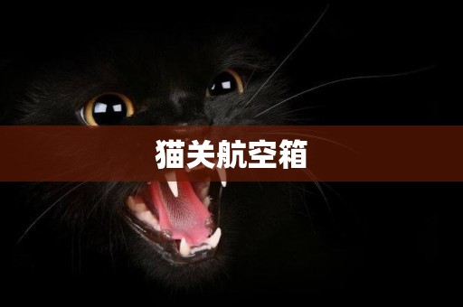 貓關航空箱