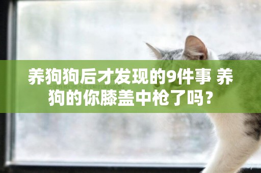 養狗狗后才發現的9件事 養狗的你膝蓋中槍了嗎？