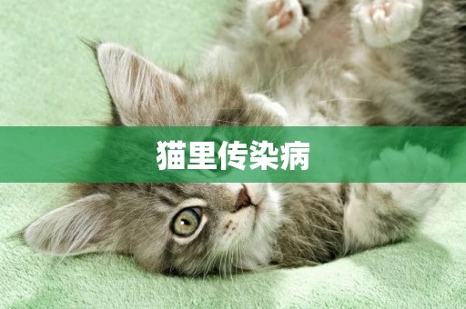 貓里傳染病