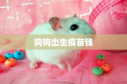 狗狗出生疫苗錢