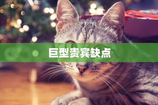 巨型貴賓缺點