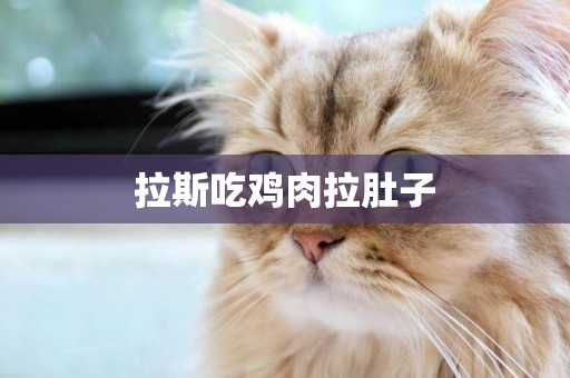 拉斯吃雞肉拉肚子